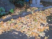 IMG_2521