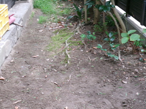 除草２