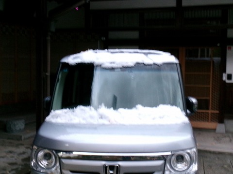 車の雪