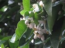 IMG_1730