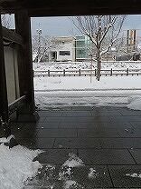 IMG_1613