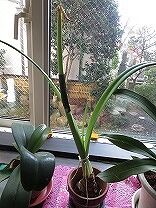 IMG_1600