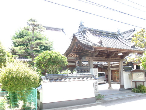 本堂と公孫樹　