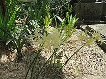 IMG_2419
