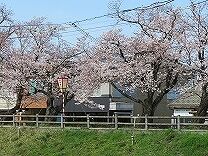 IMG_2164
