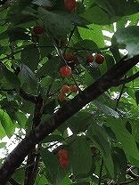 IMG_1716