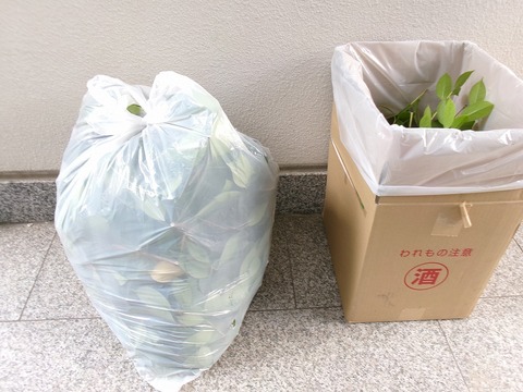 ゴミ袋