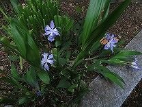 IMG_1709