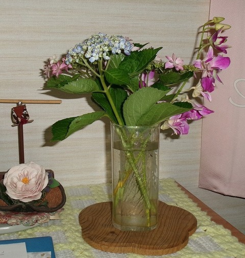写真前の花