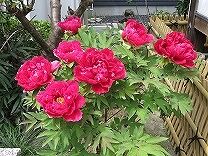 IMG_1682