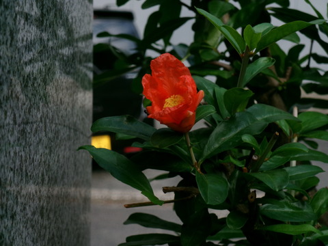 100_0014