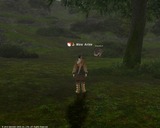 FFXIV_1292653878
