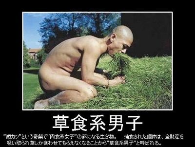o0500037810607306405