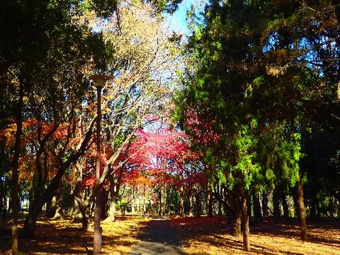 風景 画像 壁紙 待ち受け その4 30枚 19枚目