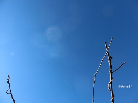 風景 画像 壁紙 待ち受け その14 30枚 11枚目