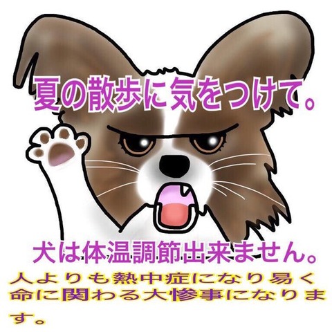 犬 画像 壁紙 待ち受け その26 30枚 24枚目