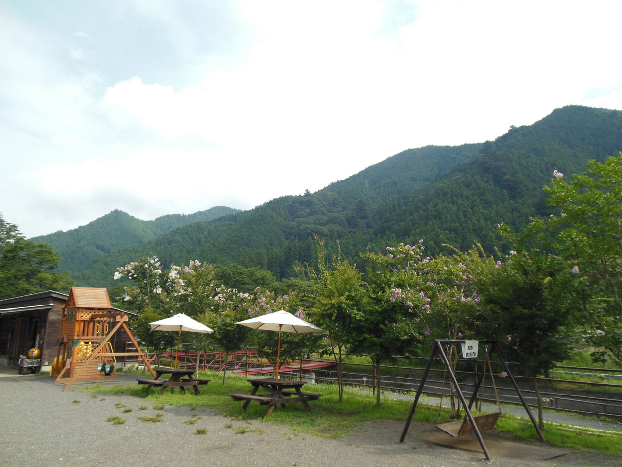 DSCN0234
