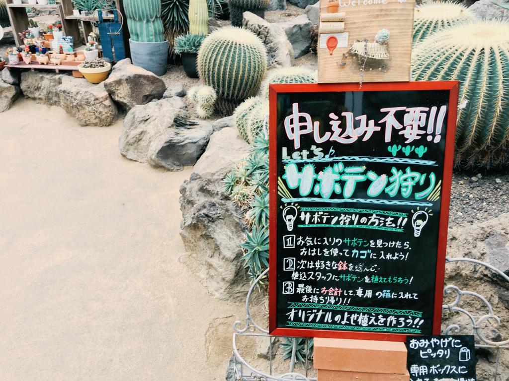 これぞサボテン ビュッフェ 伊豆シャボテン公園のサボテン狩りが楽しすぎる 雪 これぞサボテン ビュッフェ 伊豆シャボテン公園のサボテン狩りが楽しすぎる 雪