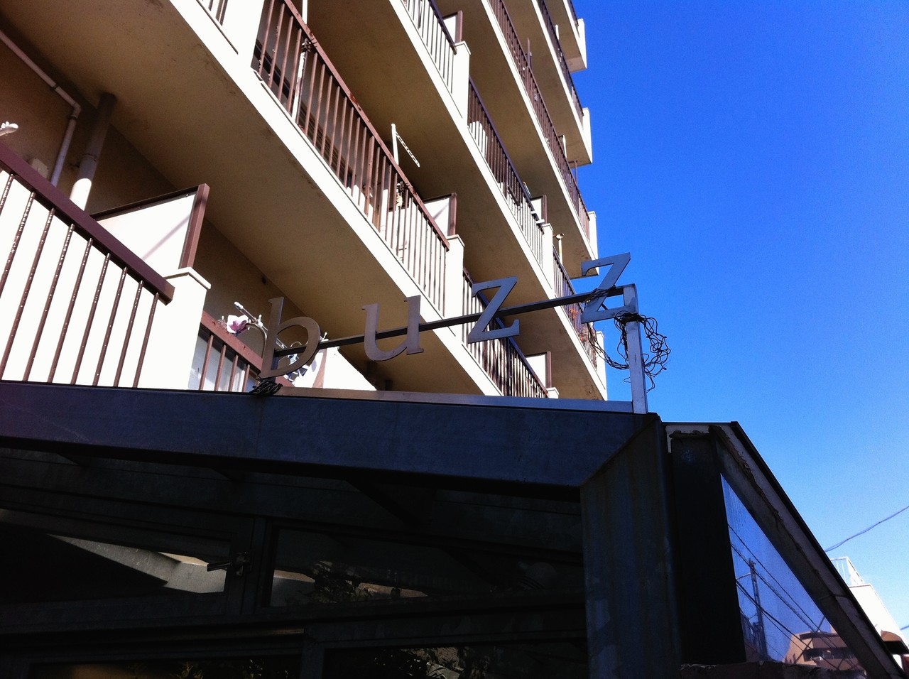 多肉植物とサボテンを買うなら恵比寿 Buzz が絶対にオススメ 雪