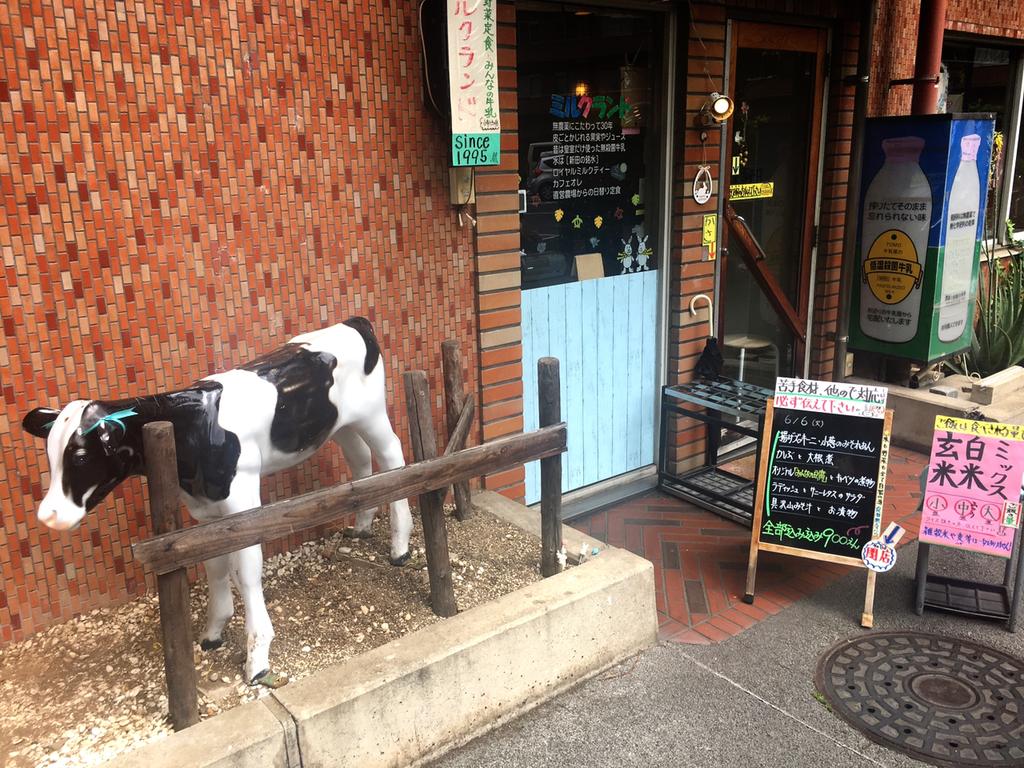 ミルクランド 新宿 無農薬有機野菜の自然食ランチ ちゃんと満腹感があるから安心して 雪 ミルクランド 新宿 無農薬有機野菜の自然食ランチ ちゃんと満腹感があるから安心して 雪