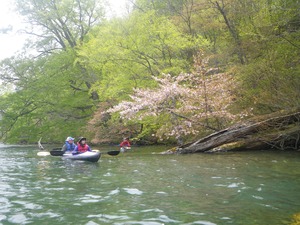 ½½ÏÂÅĸÐ_kayak