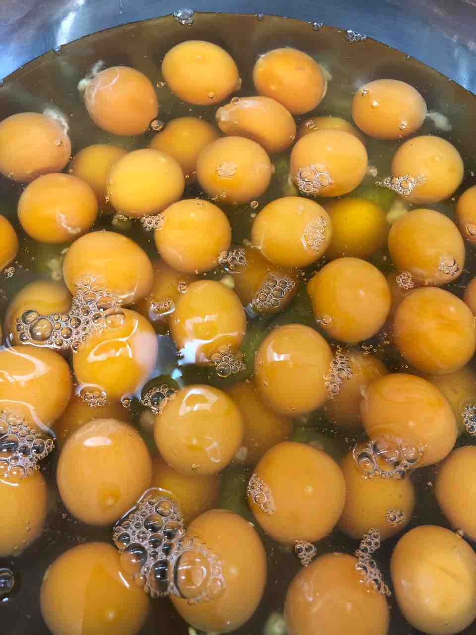 たまご50個使った玉せん ブログ太郎丸 たまご50個使った玉せん ブログ太郎丸