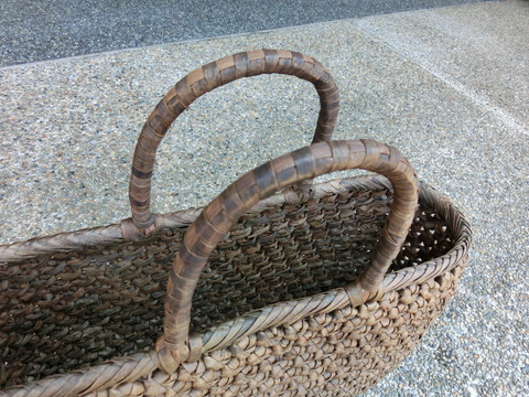 CIMG2956
