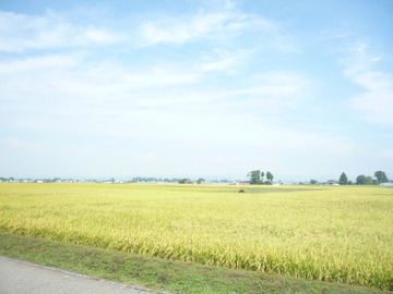 P1080535