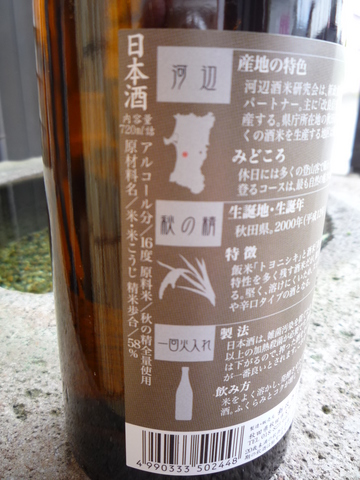 P1060381