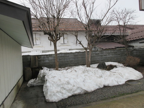 IMG_2170