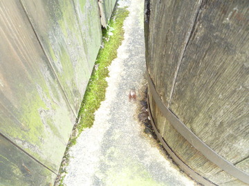 P1080027