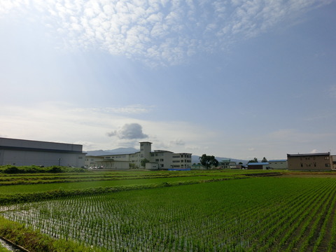 CIMG8251