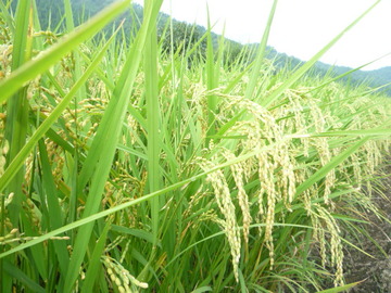 P1080015