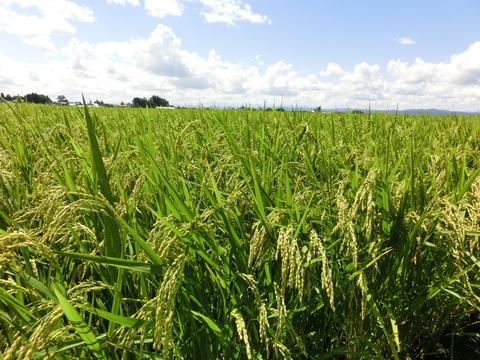 CIMG7468