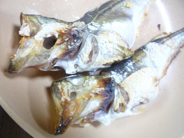 P1100103