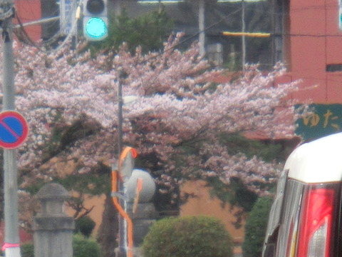 CIMG0818