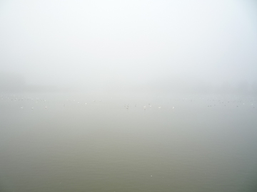 082005