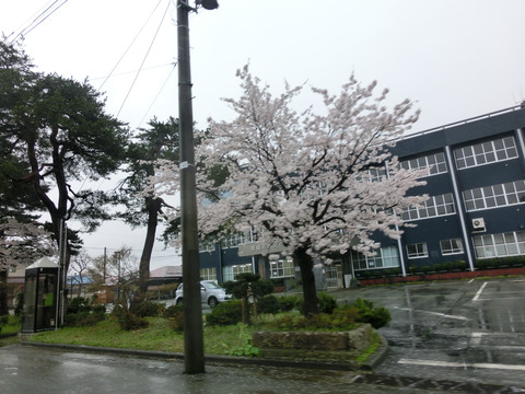 CIMG0121