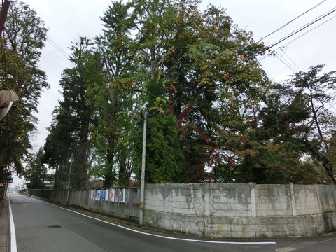 CIMG4437