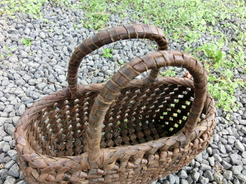 CIMG3245