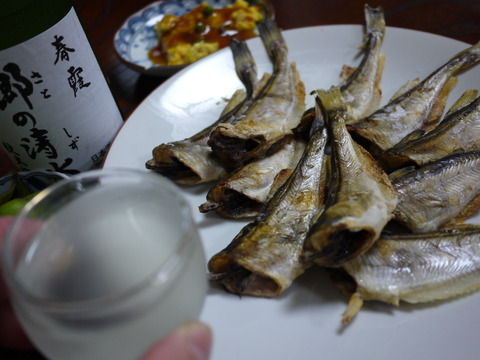 P1000614