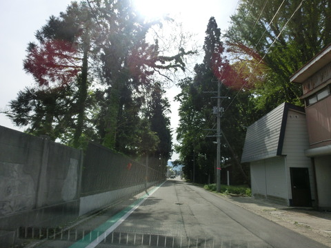 CIMG3441