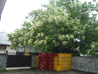 P1000880