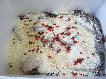 P1100062