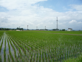 P1000835