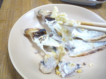 P1100108