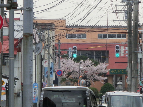 CIMG0208