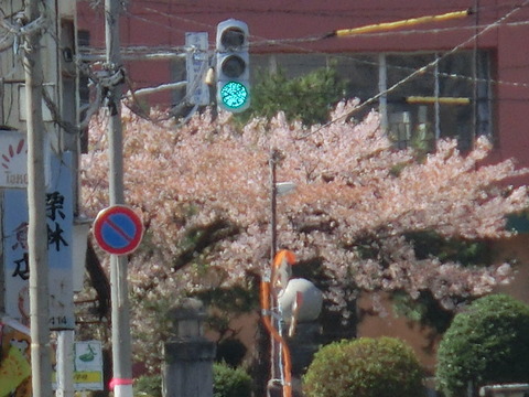 CIMG0849