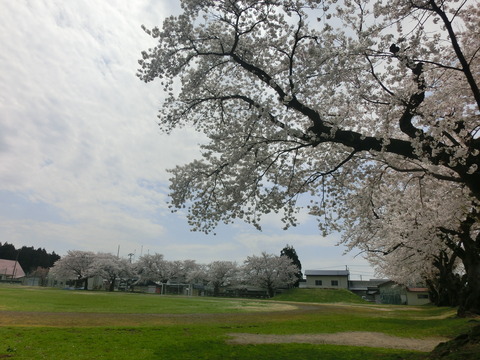CIMG0108