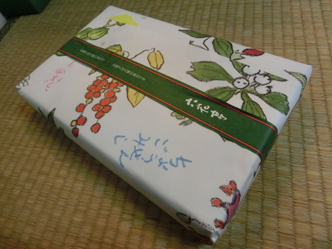 CIMG0605
